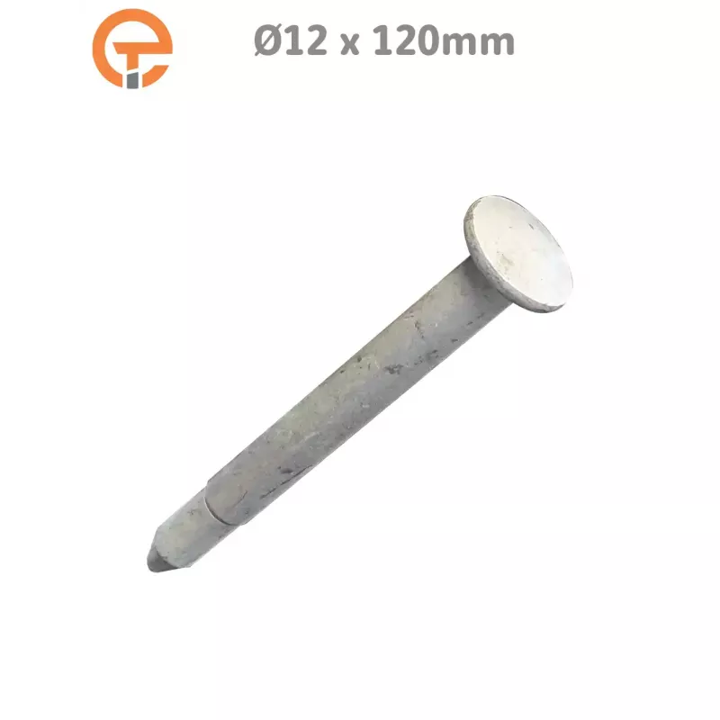 Clou de fixation spécial enrobé 12 x 120 mm