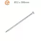 Spike de fixation spécial enrobé 12 x 300 mm