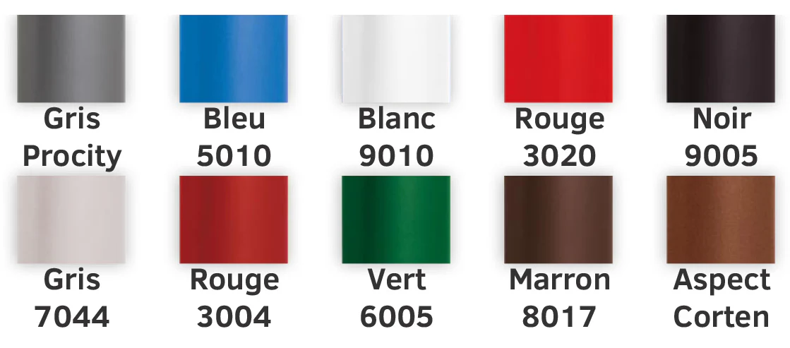 color1.webp